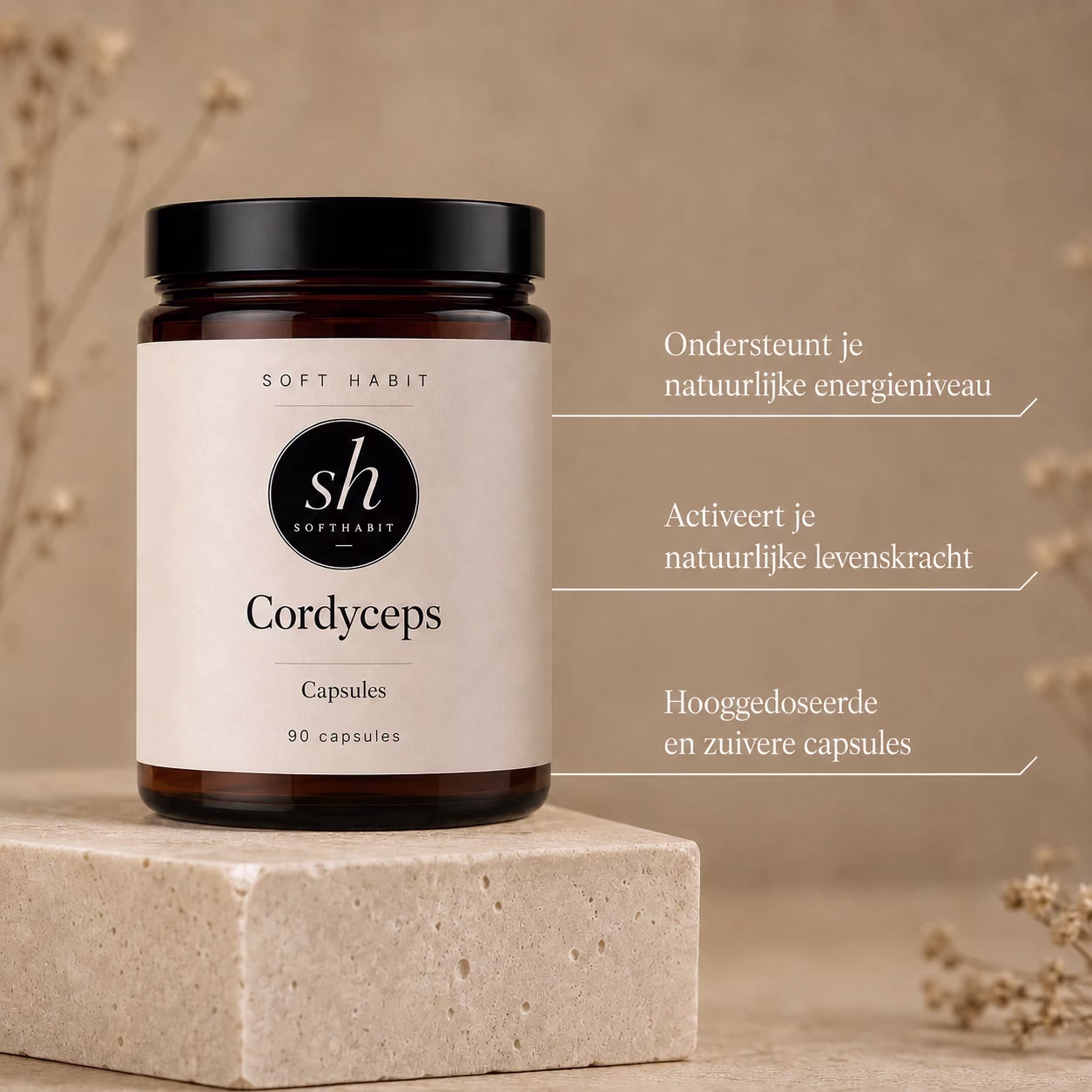 Soft Habit Cordyceps Capsules 1