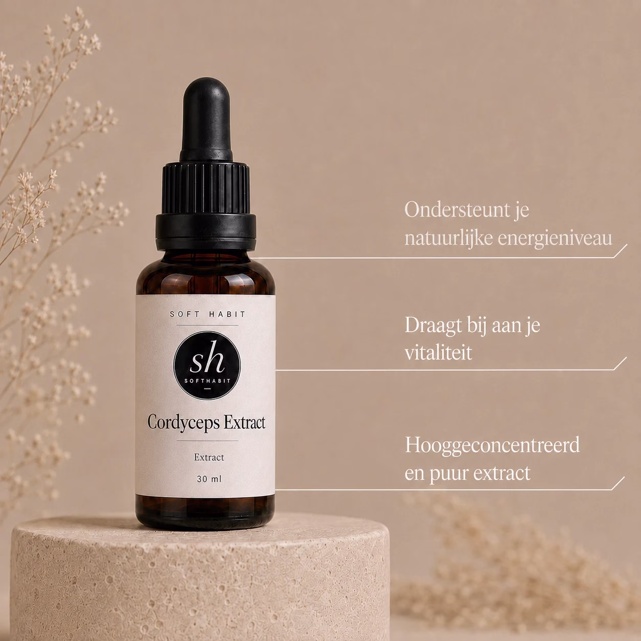 Soft Habit Cordyceps Extract 1